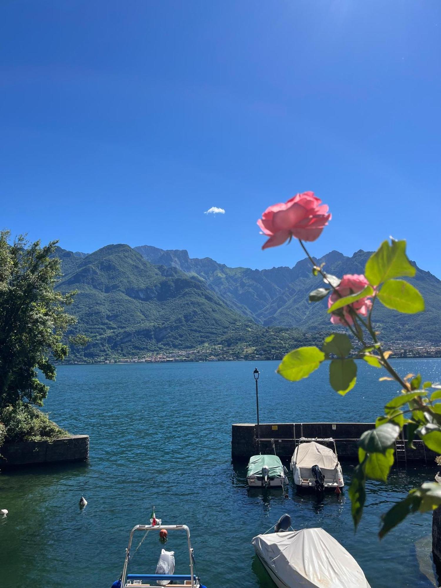Oliveto Lario Domus Graziana - Lake Front מראה חיצוני תמונה