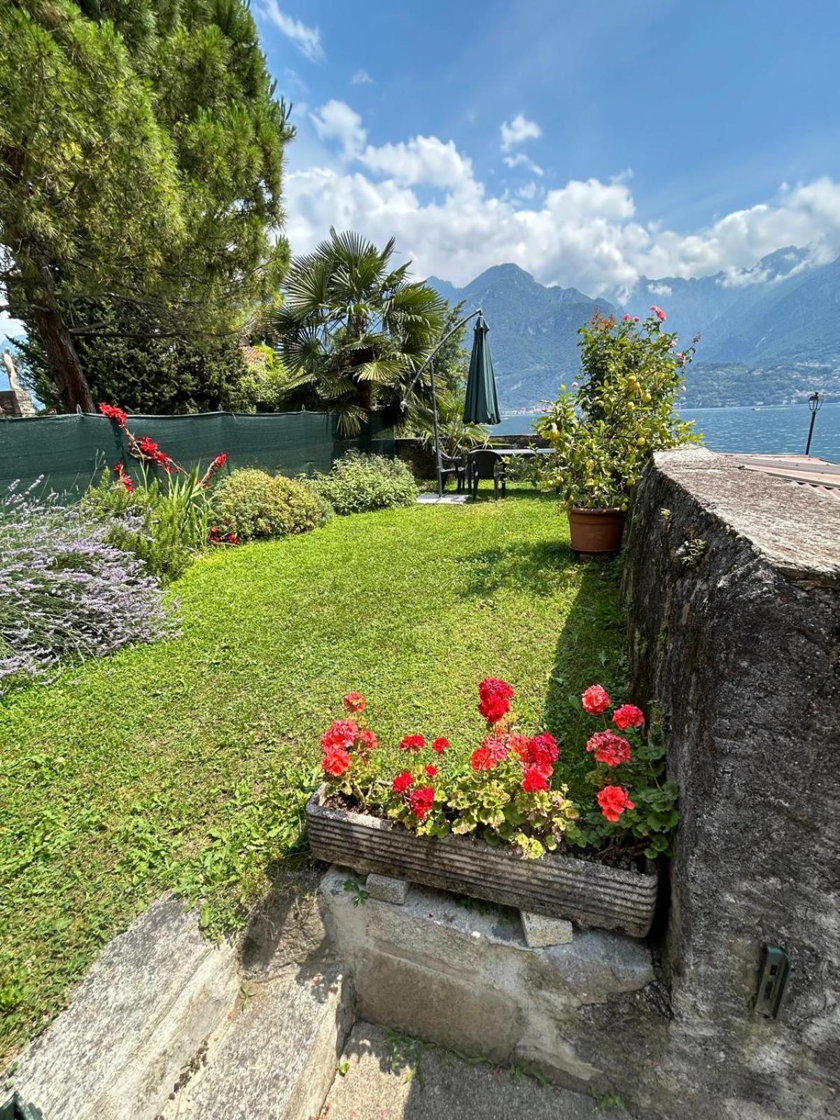 Oliveto Lario Domus Graziana - Lake Front מראה חיצוני תמונה